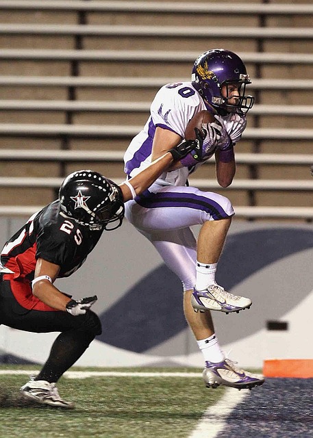 易不仅展示 易不仅展示