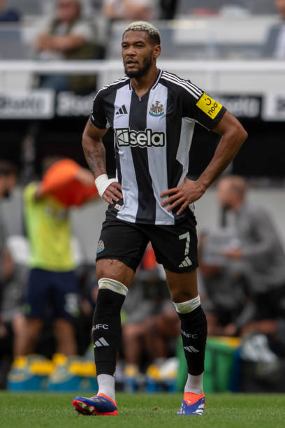 他的职业生 他的职业生