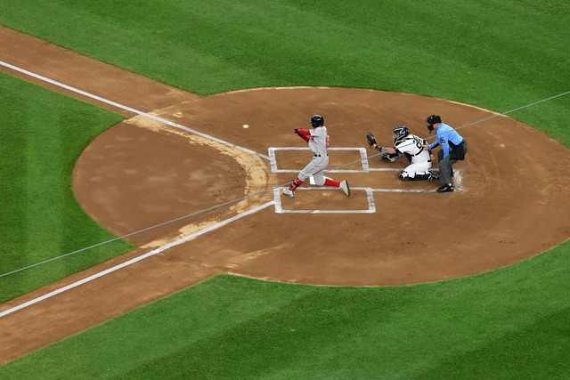 这篇文章将 这篇文章将